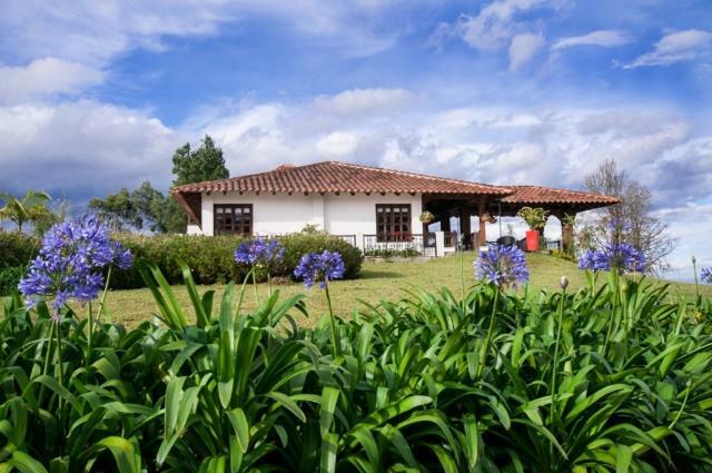 Hotel Reserva Monarca Salento Kültér fotó